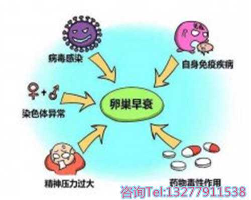 移植鲜胚后天天喝乌鸡红枣汤有什么影响吗？